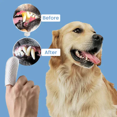 Happilow™ Pet Dental Wipes – 50 Wipes Pack