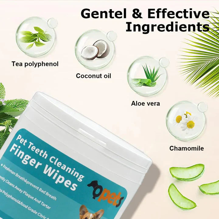 Happilow™ Pet Dental Wipes – 50 Wipes Pack